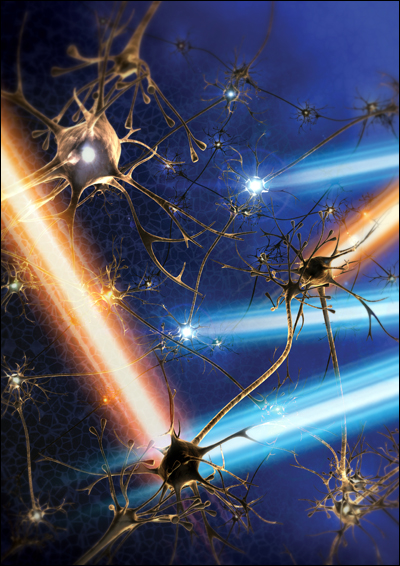 neuronas1.jpg