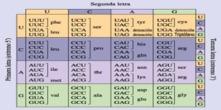 diccionarioprot1.jpg