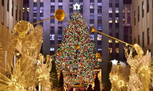 origen del árbol de la Navidad