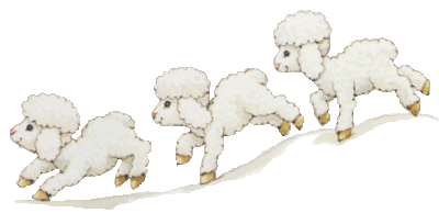 gifs-animales-ovejas.gif