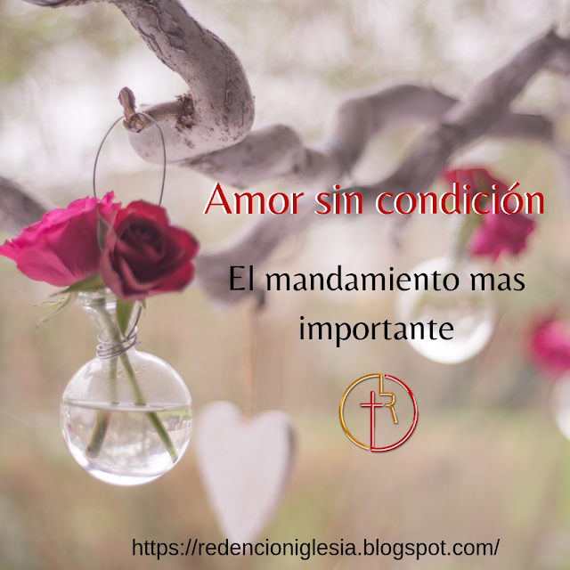 imagen Amor sin condición, El mandamiento mas importante imagen Amor sin condición, El mandamiento mas importante