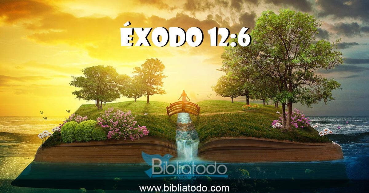 www.bibliatodo.com