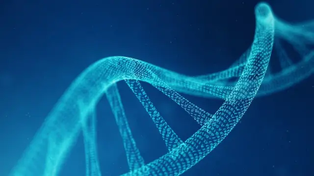 Dibujo estilizado de la doble hélice del ADN en el que aparecen 1s y 0s en los enlaces entre las moléculas para ilustrar su naturaleza sintética. Dibujo estilizado de la doble hélice del ADN en el que aparecen 1s y 0s en los enlaces entre las moléculas para ilustrar su naturaleza sintética.