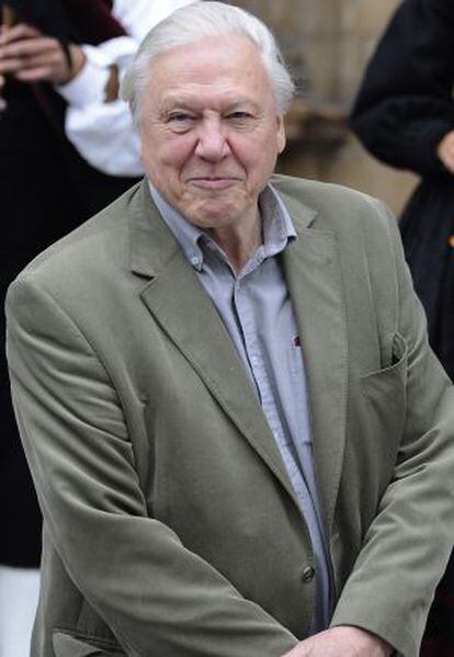 David Attenborough, en una imagen de archivo. David Attenborough, en una imagen de archivo.