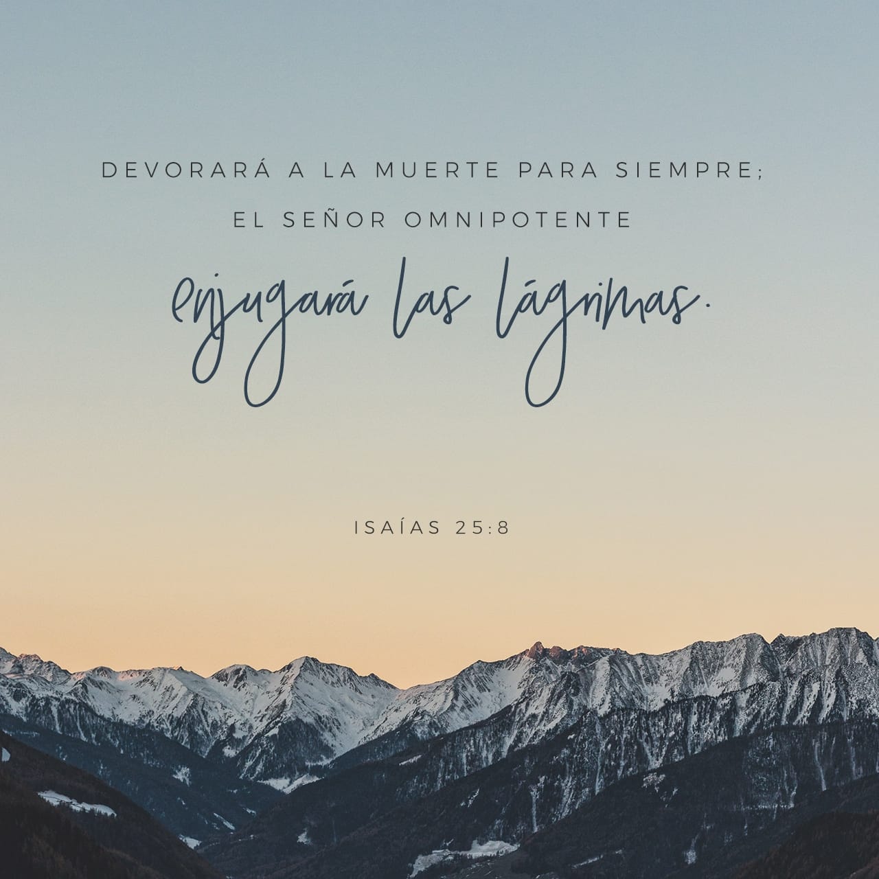 bible.com
