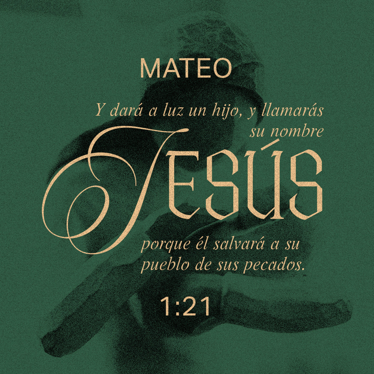 bible.com
