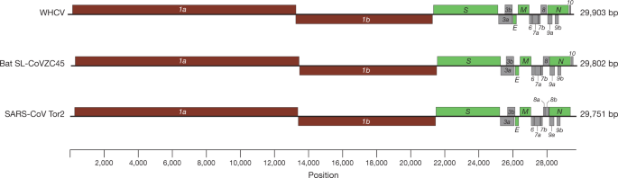 figure1 figure1