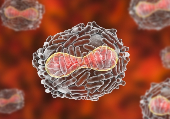 newsroom.unsw.edu.au