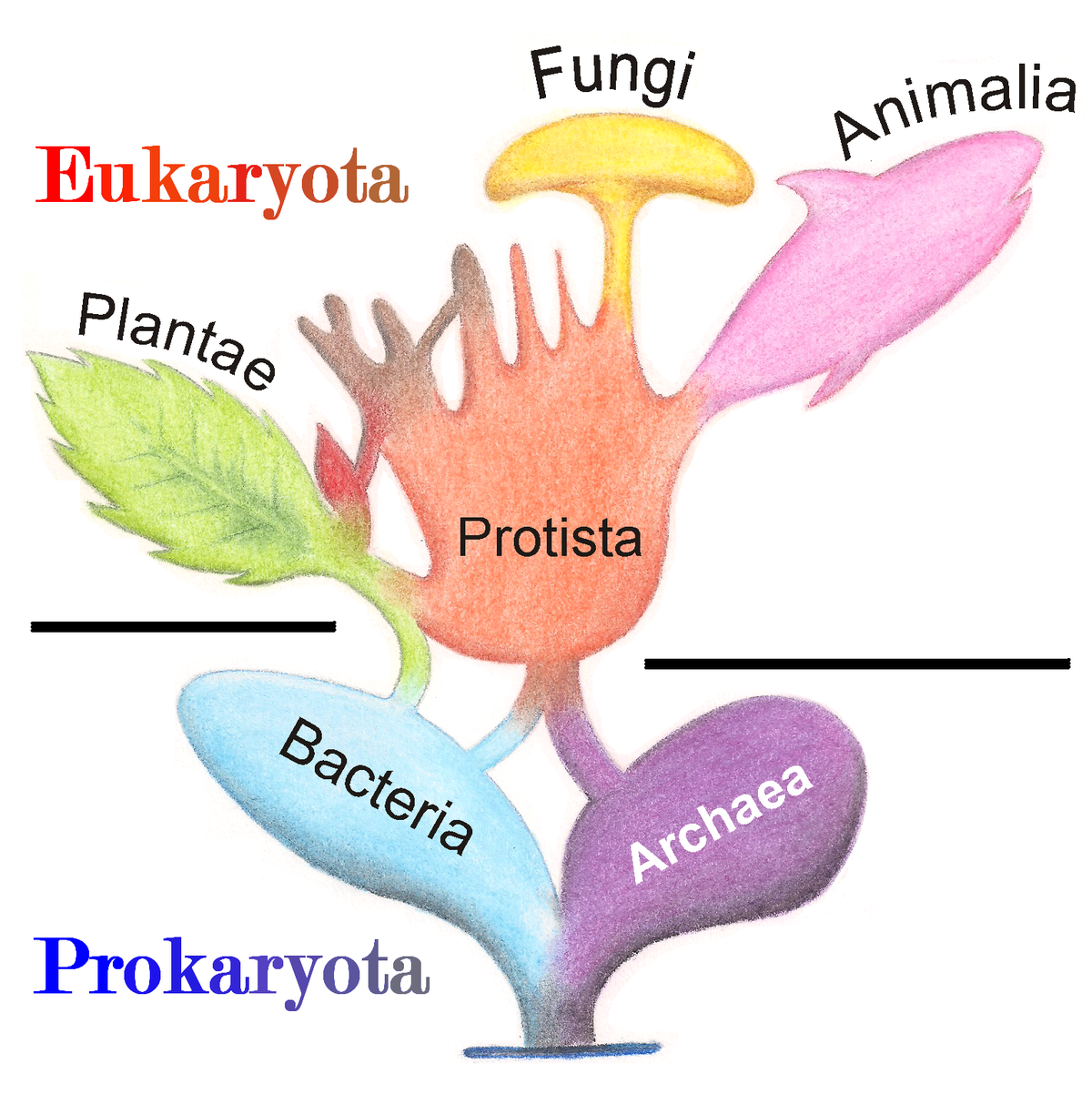 es.wikipedia.org