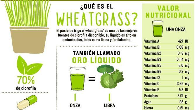 Wheatgrass-pasto-lleno-luz-vida_LPRIMA20150410_0064_23.jpg