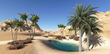 Los oasis marcan la delgada línea entre la vida y la muerte en el desierto